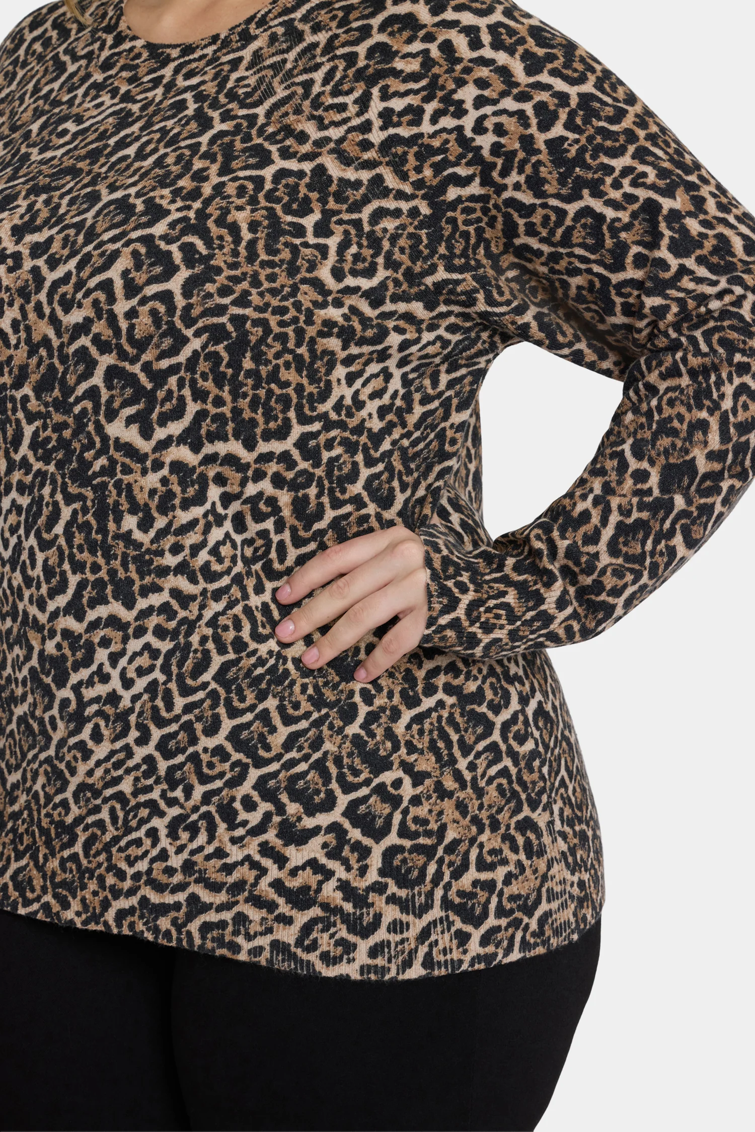 13851-cheetah-crewneck-sweater-in-plus-size-onyx-cheetah-1.webp